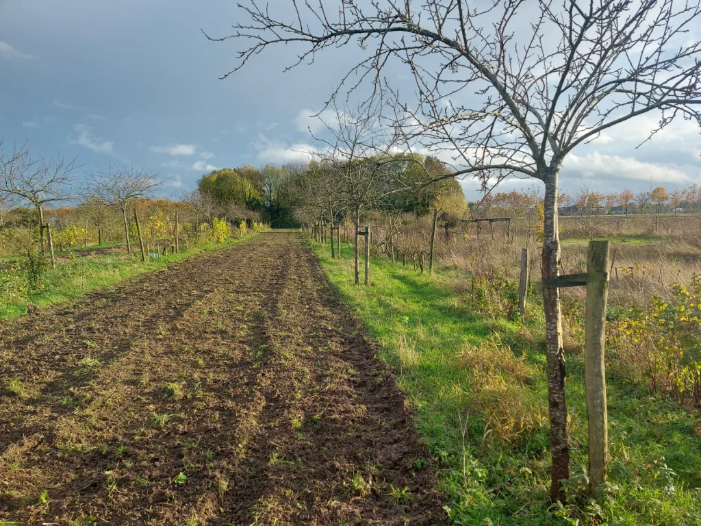 De akkertjes liggen klaar om ingezaaid te worden!