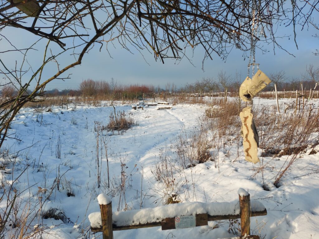 wat een heerlijke kleur dat wit!