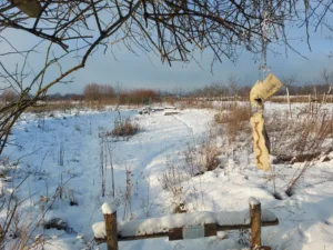 wat een heerlijke kleur dat wit!