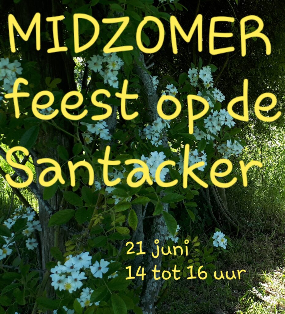 MIDZOMER