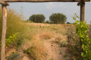 foto van de Santackergaard genomen door Yvonne van Hoorn